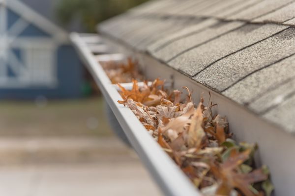 Leaf Barrier Installation in Elgin